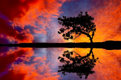 counseling scotch plains ounseling nutley